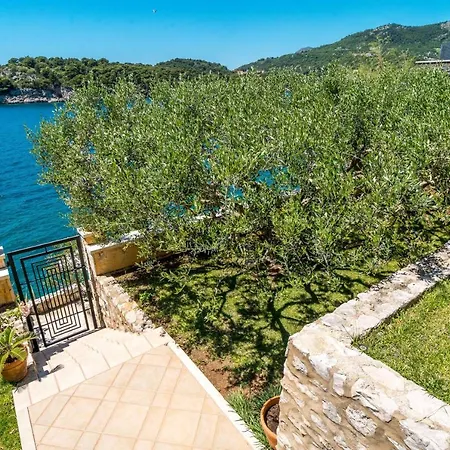 Beautiful Monarch 1 Villa *